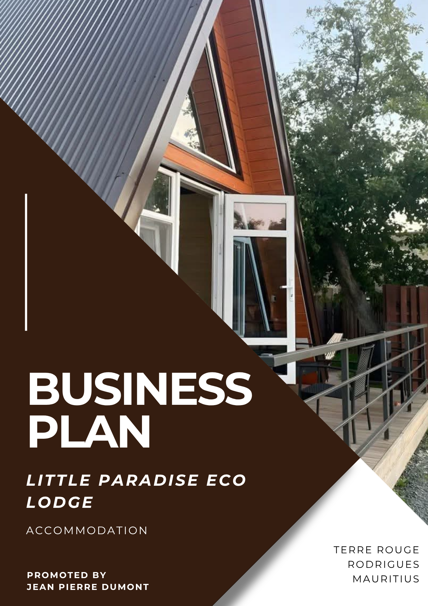 Business Plan Cover — Island Pro Consulting